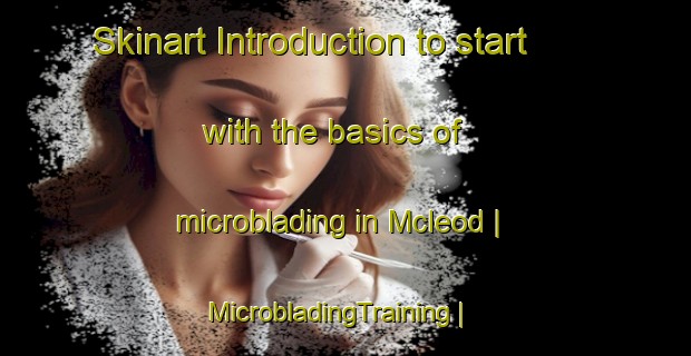 Skinart Introduction to start with the basics of microblading in Mcleod | MicrobladingTraining | MicrobladingClasses | SkinartTraining-Canada